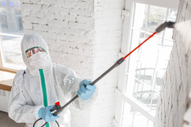 Best Biohazard Mold Removal  in East Niles, CA