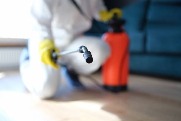 Best Crawl Space Mold Remediation  in East Niles, CA