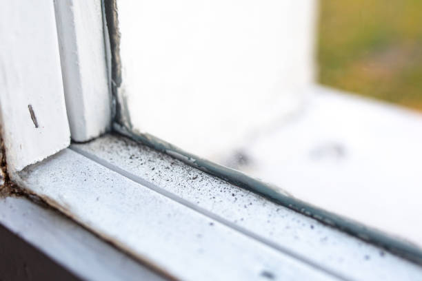 Best Indoor Air Quality Assessment  in East Niles, CA