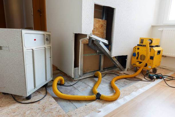 Best HVAC Mold Inspection and Cleaning  in East Niles, CA